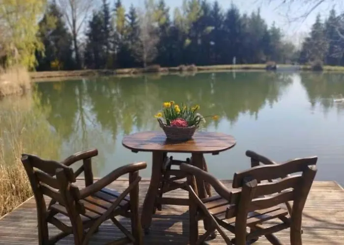 Domaine Des Pins A La Belle Etoile Grundviller